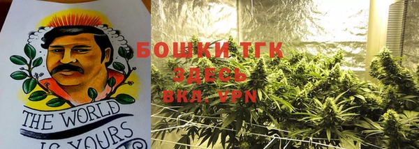 твердый Белокуриха