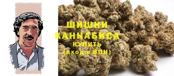 стаф Богородск