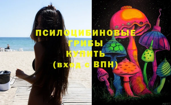 твердый Белокуриха