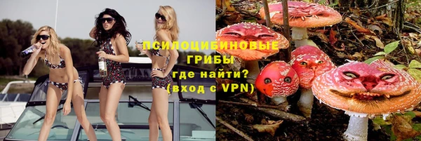 твердый Белокуриха