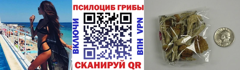 Псилоцибиновые грибы ЛСД  Мамадыш 