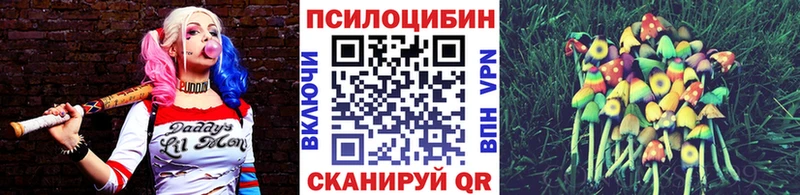 Псилоцибиновые грибы Cubensis Мамадыш