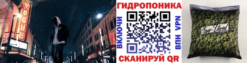 цена   Мамадыш  Конопля план 